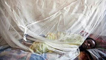 Фотография к новости: Нигерияда Ласса безгегінен көз жұмғандар саны 170-ке жуықтады