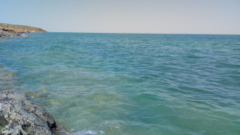 Фотография к новости: Биылғы су тасқынының есебінен Балқаш көлі 23 см-ге көтерілді