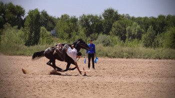Фотография к новости: Көшпенділер ойыны: Теңге ілуден кімдер жолдама алды