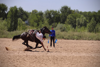 Фотография к новости: Көшпенділер ойыны: Теңге ілуден кімдер жолдама алды