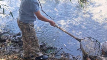 Фотография к новости: БҚО-да балық шабақтары құтқарылды