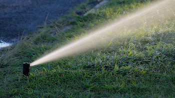 Фотография к новости: Шаруаларға 6 млрд текше метрден астам су берілді