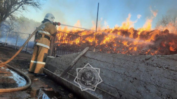 Фотография к новости: Түркістан облысында жалын 120 тонна шөпті шарпыды