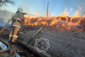 Фотография к новости: Түркістан облысында жалын 120 тонна шөпті шарпыды