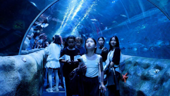 Фотография к новости: Астанада өңірлерден келген мың балаға экскурсия ұйымдастырылды