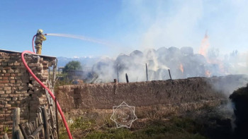 Фотография к новости: Алматы облысында қоймадағы шөп өртеніп кетті