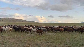 Фотография к новости: Қарағандыда 12 мың гектардан аса жер мемлекет меншігіне қайтарылды