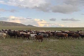 Фотография к новости: Қарағандыда 12 мың гектардан аса жер мемлекет меншігіне қайтарылды