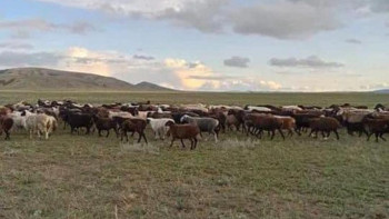 Фотография к новости: Қарағандыда 12 мың гектардан астам жер мемлекетке қайтарылды