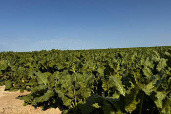 Фотография к новости: "Жетісу шаруаларының жаңайқайы": Фермерлерге 2 мың тонна өнім жинау міндеттелген