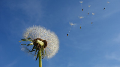 Республика бойынша жел күшейеді