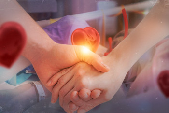 Фотография к новости: Жол апатынан жазым болған жігіт қалай 4 адамға өмір сыйлады?