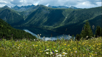 Фотография к новости: Бірқатар ұлттық саябақта туристік маршруттар абаттандырылды