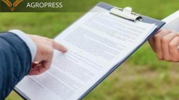 Фотография к новости: Елордада жер учаскелерін өз бетінше иеленіп алу фактілері анықталды