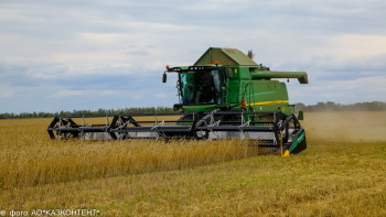 Фотография к новости: Шөп шабу кезеңі. Қауіпсіздік шаралары күшейтілді