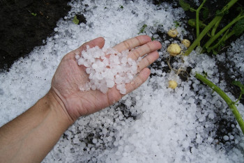 Фотография к новости: Ертең Астанада тағы бұршақ аралас жаңбыр жауады