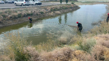 Фотография к новости: Жайық өзеніне  340 мыңнан аса балық шабағы жіберілді