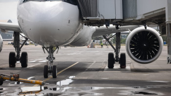 Фотография к новости: Алматыда Air Astana ұшағы әуежайда көлікпен соқтығысты