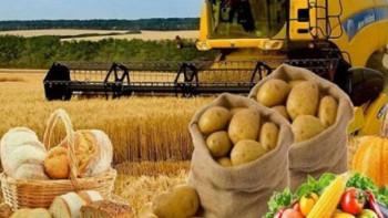 Фотография к новости: Ауыл шаруашылығында 79 инвестициялық жоба іске асырылды