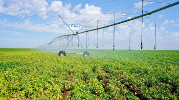 Фотография к новости: Павлодар облысында 97 гидротехникалық және 132 су өткізу құрылысы жөнделеді