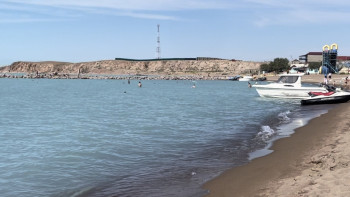 Фотография к новости: Балқаштағы демалыс орындарының бірінде демалушылар жаппай уланды