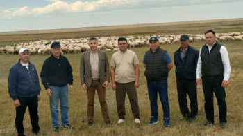 Фотография к новости: Ауыл шаруашылығы вице-министрі Қарағанды облысына жұмыс сапарымен барды