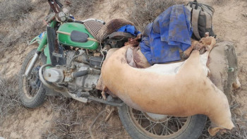 Фотография к новости: Ұлытау облысында браконьерлер ұсталды