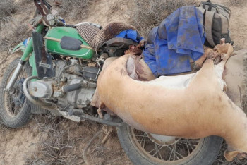 Фотография к новости: Ұлытау облысында браконьерлер ұсталды