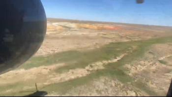 Фотография к новости: 10 жылда 230 тоннадан астам каннабис тобының есірткілері жойылды