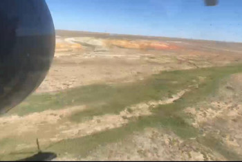 Фотография к новости: 10 жылда 230 тоннадан астам каннабис тобының есірткілері жойылды