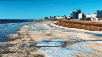 Фотография к новости: Каспий теңізінің жағалауында орналасқан 50 га жер мемлекетке қайтарылды