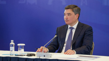 Фотография к новости: "Арқаны кеңге салуға болмайды". Бектенов маймыл шешегінің қаупі туралы айтты