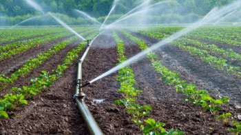 Фотография к новости: 3 облыста дренаж жүйелерін реконструкциялау жұмысы аяқталуға жақын