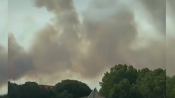 Фотография к новости: Францияда 300 гектар орман өртенді