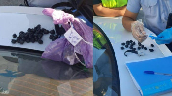 Фотография к новости: Қызылордада есірткі таратқан ер адам 10 жылға бас бостандығынан айырылды