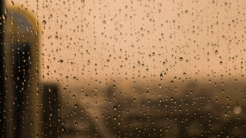 Фотография к новости: Алдағы бірнеше күн жаңбырлы болады