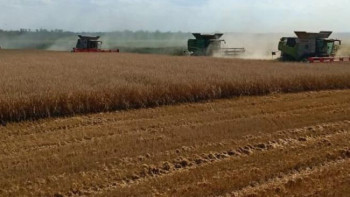 Фотография к новости: Абай облысында егін жинау науқаны басталды