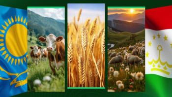 Фотография к новости: Сапаров Тәжікстанда АӨК өнімдерінің өзара саудасын арттыруды ұсынды