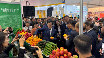 Фотография к новости: Жеміс-жидектен озық технологияға дейін: Астанада ауқымды көрме басталды