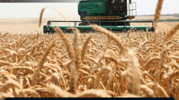 Фотография к новости: Елімізде 2,4 млн тоннаға жуық астық бастырылды