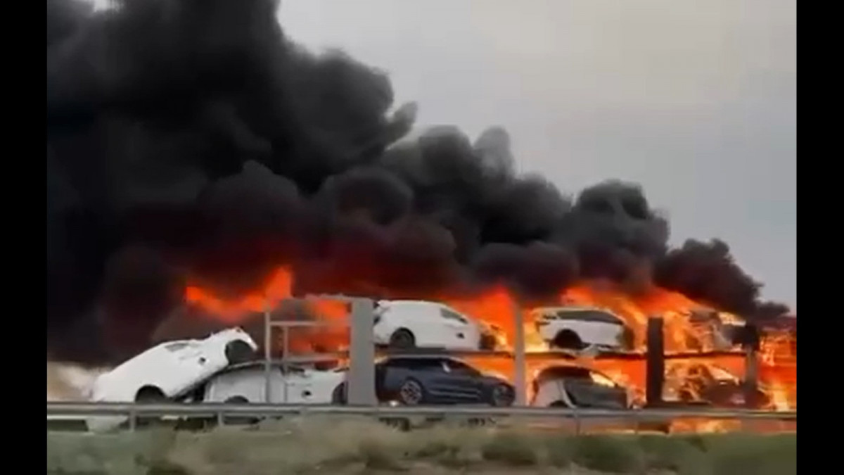  видеодан кадр