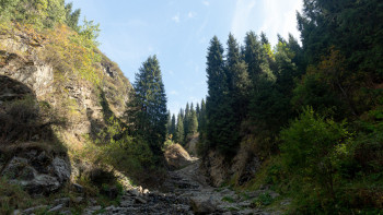 Фотография к новости: Көктемгі-қысқы аңшылық маусымы. Қай жерлерде жануар атуға рұқсат етілмейді