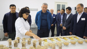 Фотография к новости: Ауылшаруашылық дақылдарын әртараптандыру неден сақтайтыны белгілі болды