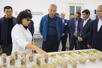 Фотография к новости: Ауылшаруашылық дақылдарын әртараптандыру неден сақтайтыны белгілі болды
