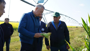 Фотография к новости: Жұманғарин Ақмола облысының егіс алқаптарындағы жағдаймен танысты