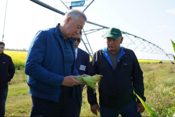 Фотография к новости: Жұманғарин Ақмола облысының егіс алқаптарындағы жағдаймен танысты