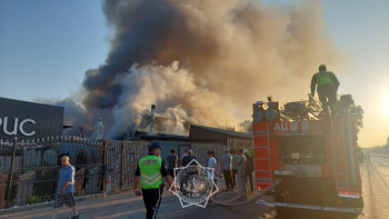 Фотография к новости: Алматы дәмханасындағы өрт 500 шаршы метр аумақты шарпыған