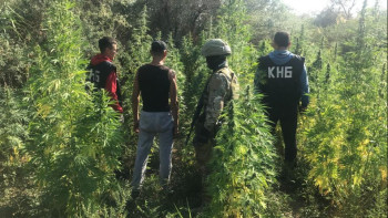 Фотография к новости: Есірткі егумен айналысқан ұйымдасқан қылмыстық топ ұсталды