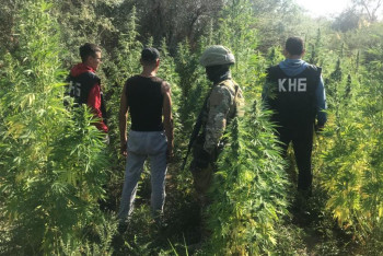 Фотография к новости: Есірткі егумен айналысқан ұйымдасқан қылмыстық топ ұсталды