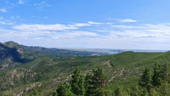 Фотография к новости: Орман қорын қорғау. Бейнебақылау камералары орнатылады